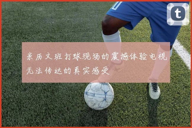 亲历文班打球现场的震撼体验电视无法传达的真实感受