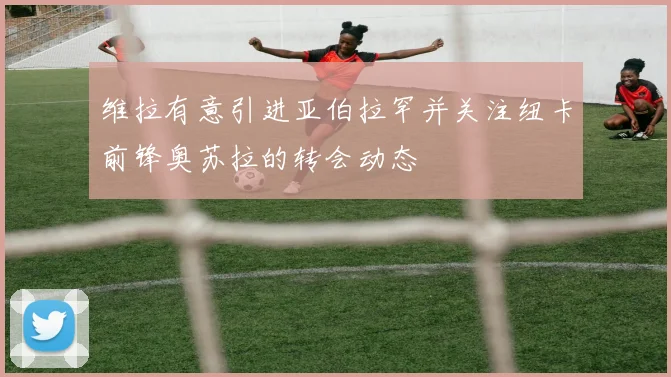 维拉有意引进亚伯拉罕并关注纽卡前锋奥苏拉的转会动态
