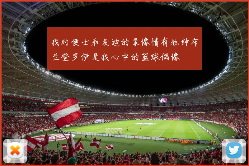 我对便士和麦迪的录像情有独钟布兰登罗伊是我心中的篮球偶像